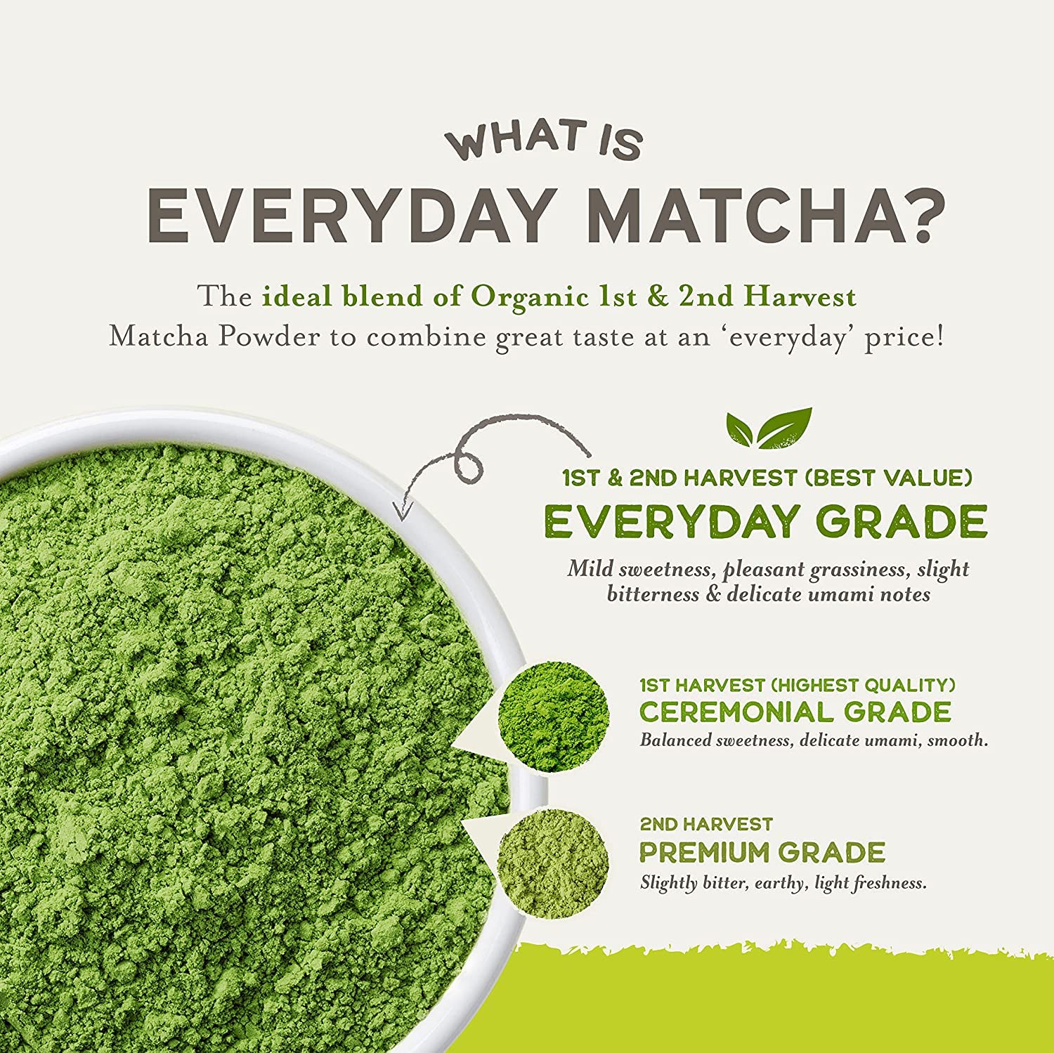 Organic Matcha Green Tea Powder – Everyday Antioxidant Boost