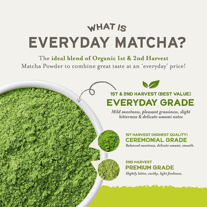 Organic Matcha Green Tea Powder – Everyday Antioxidant Boost